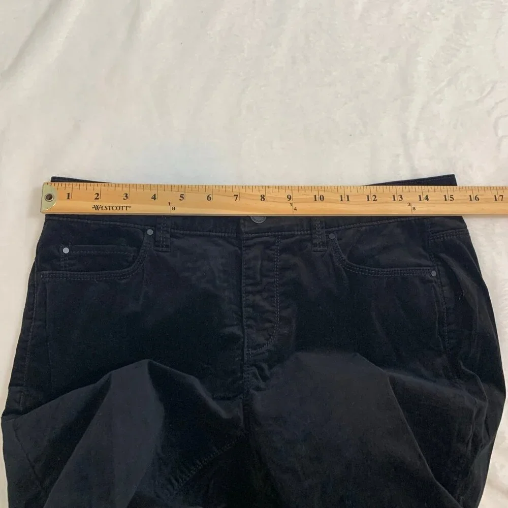 Ann Taylor sleek from
